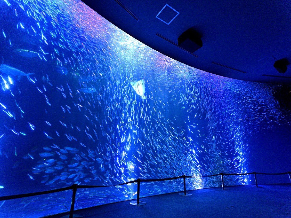 나고야항 수족관