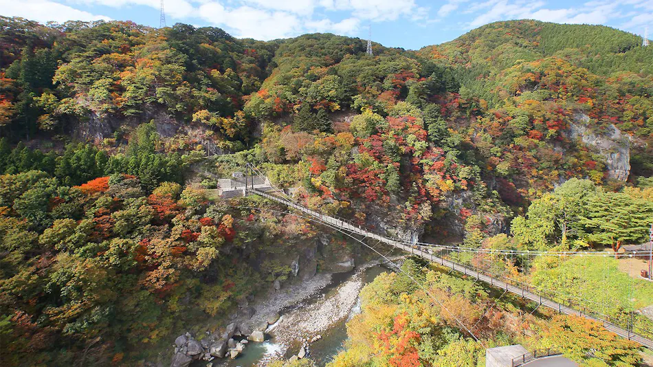 Hotel Sunshine Kinugawa
