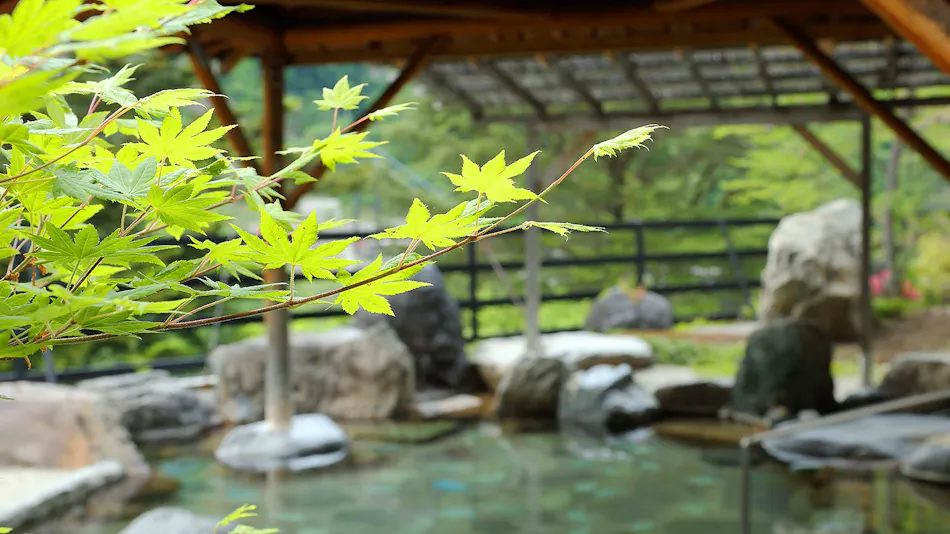 Hotel Sunshine Kinugawa