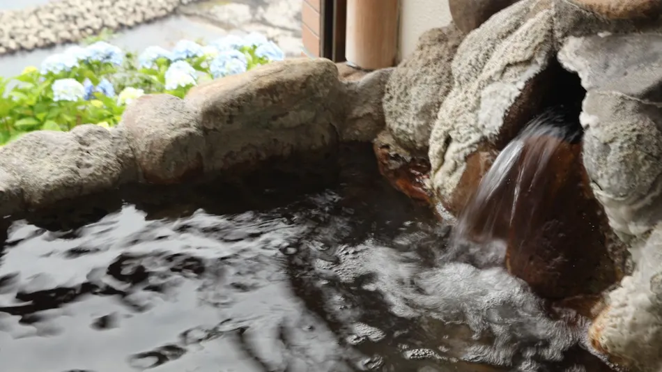 Tappizaki Onsen Hotel Tappi