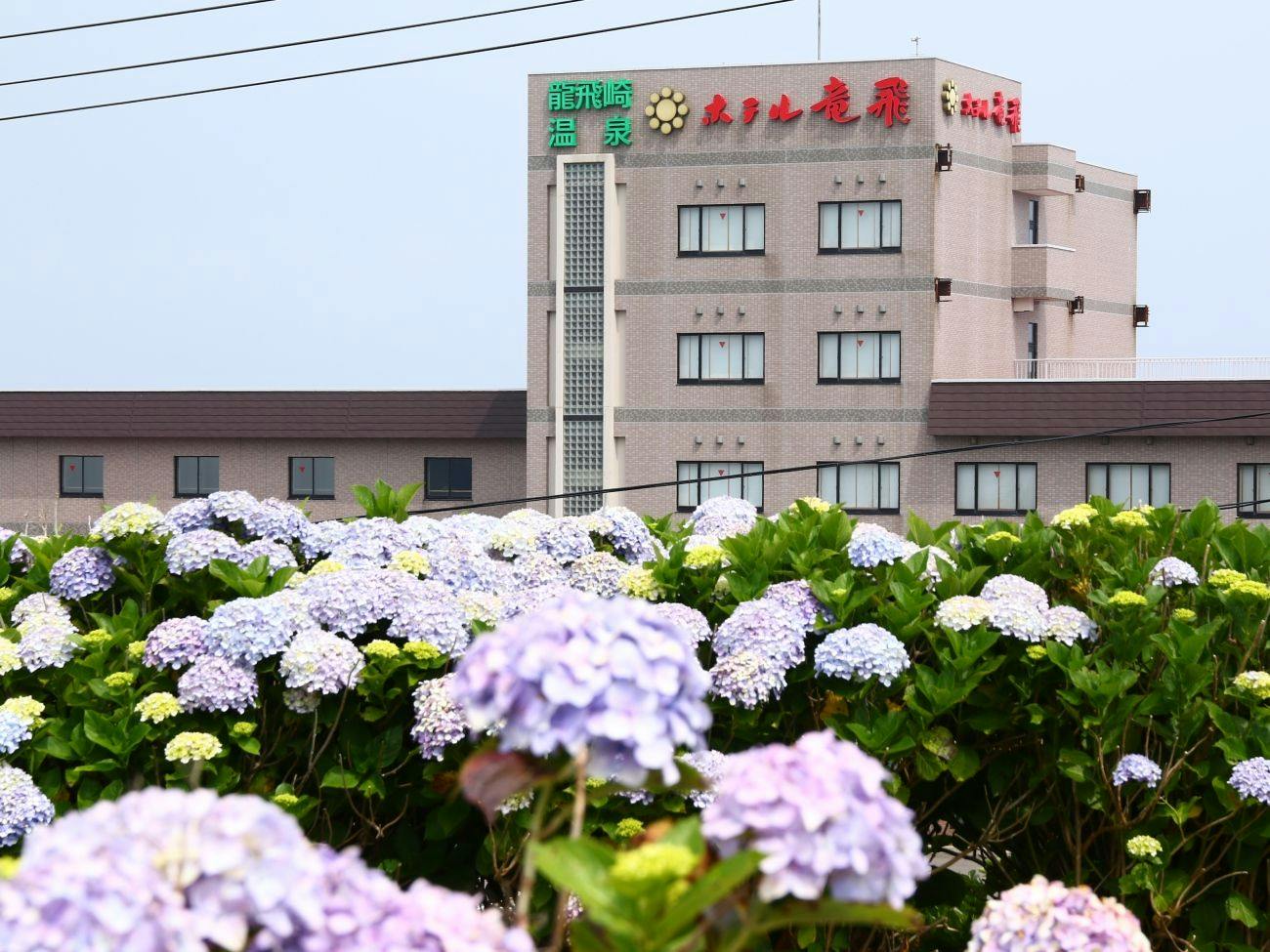 Tappizaki Onsen Hotel Tappi