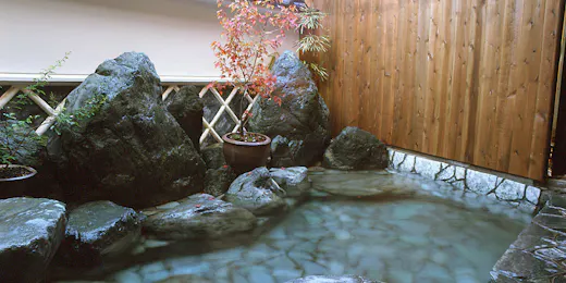Natural Hot Spring Business Hotel with Private Source Flow - Yumura Hotel