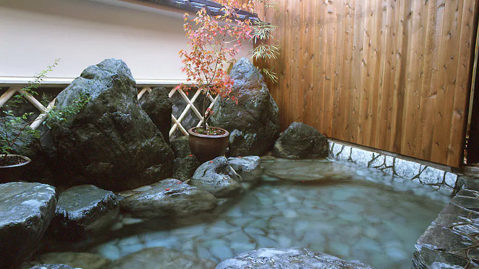 Natural Hot Spring Business Hotel with Private Source Flow - Yumura Hotel