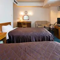 禁菸西式雙床房