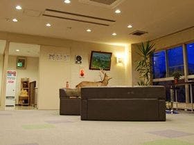 鹿教湯温泉　斉北荘