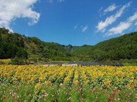 鹿教湯温泉　斉北荘