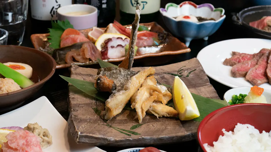 Maruyama Onsen Kojokan