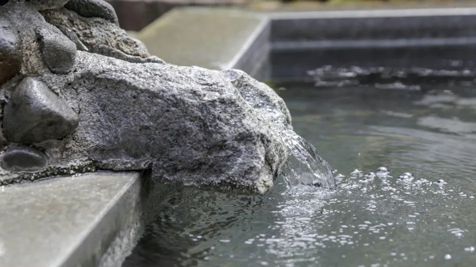 Morioka Tsunagi Onsen Aishinkan