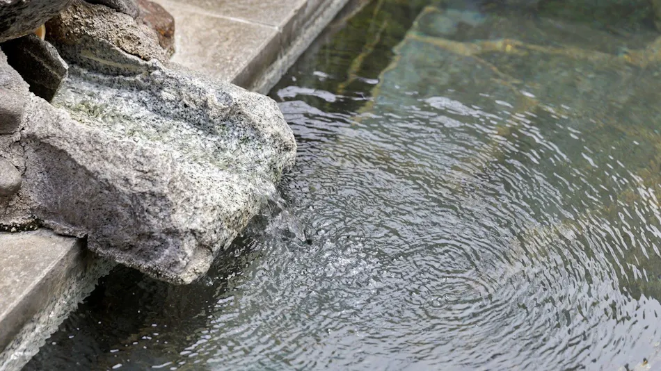 Morioka Tsunagi Onsen Aishinkan