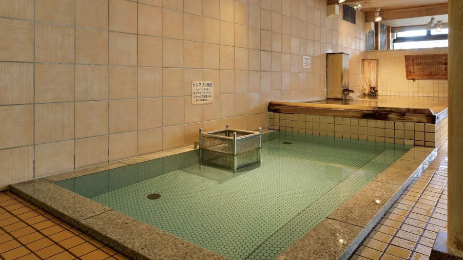 Morioka Tsunagi Onsen Aishinkan