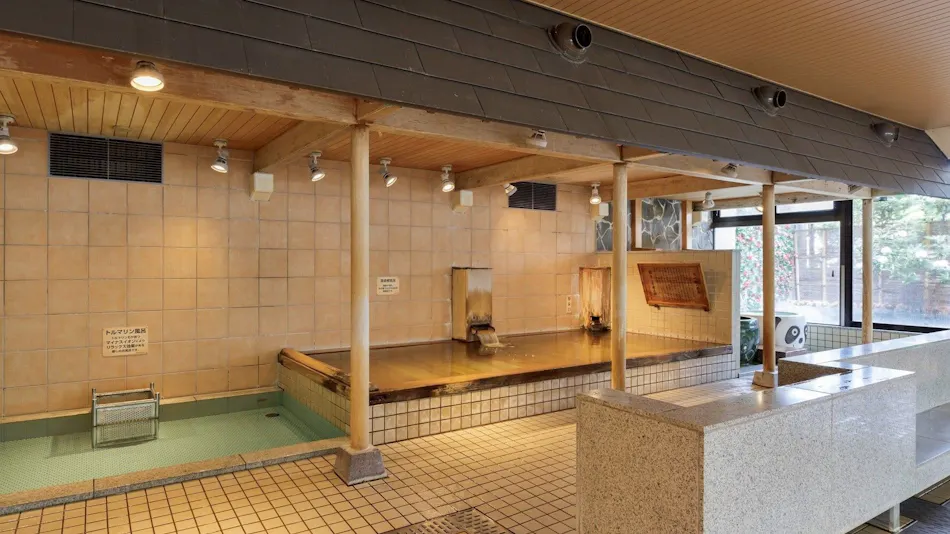 Morioka Tsunagi Onsen Aishinkan