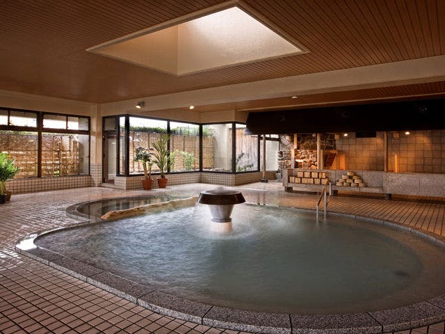 Morioka Tsunagi Onsen Aishinkan