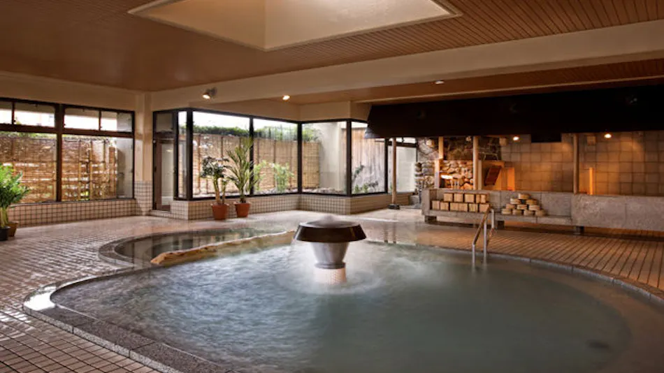 Morioka Tsunagi Onsen Aishinkan