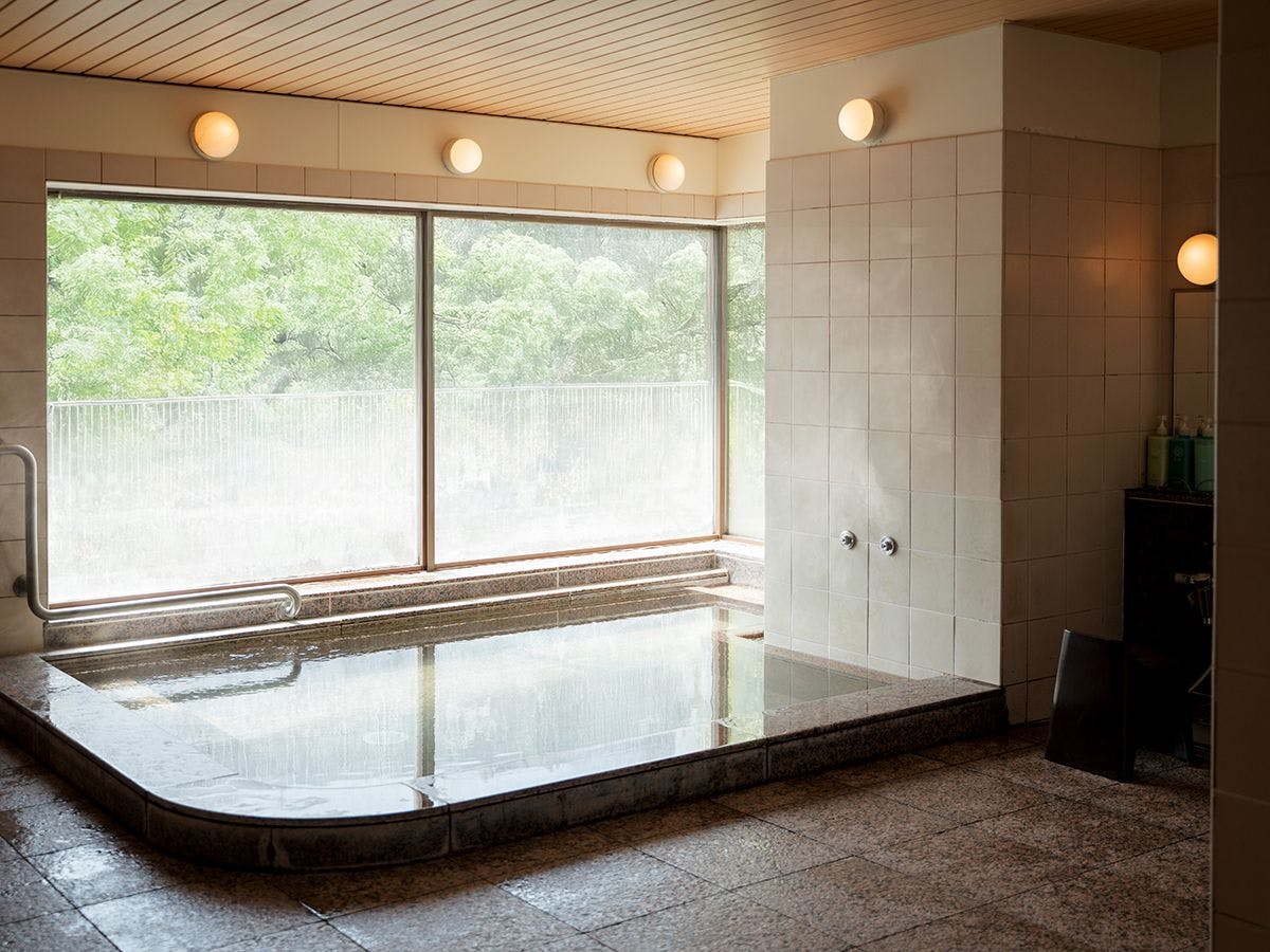 Takarazuka Washington Hotel