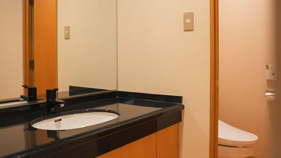 Takarazuka Washington Hotel