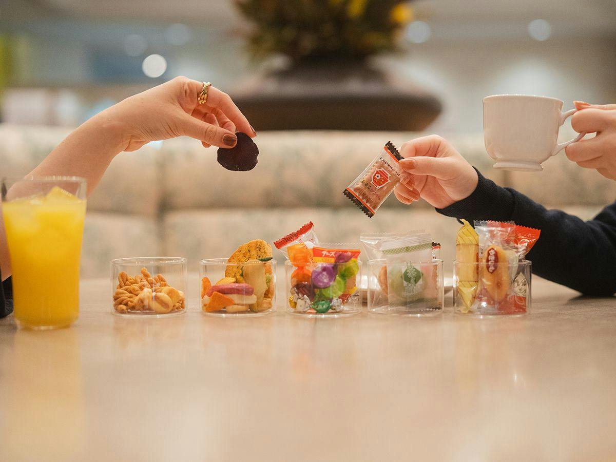Takarazuka Washington Hotel