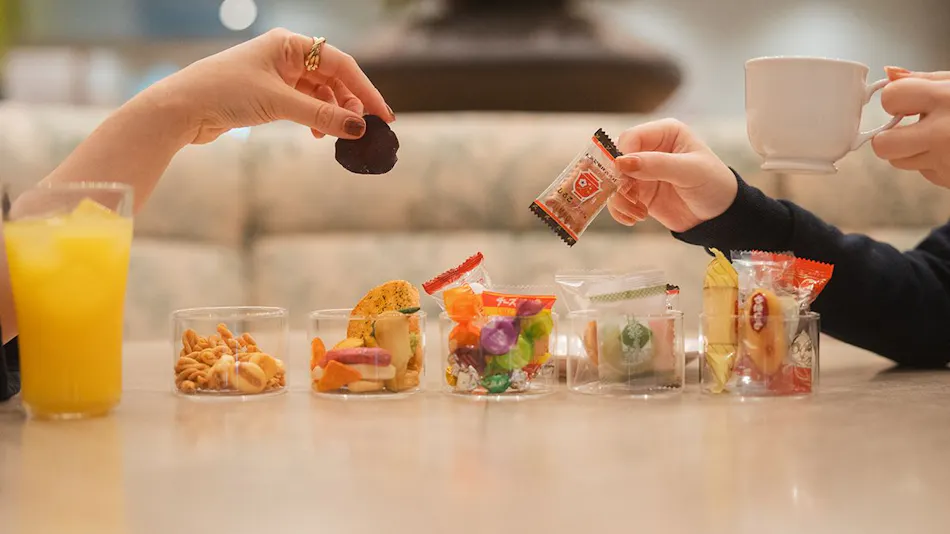 Takarazuka Washington Hotel