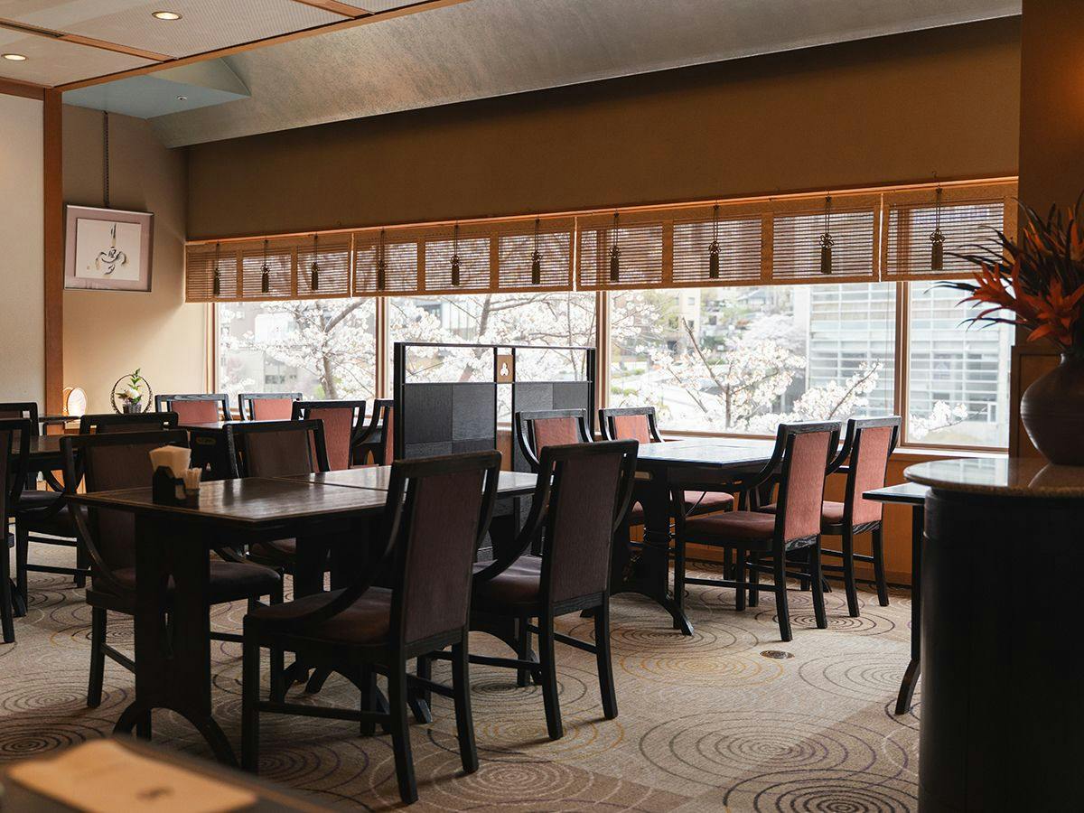 Takarazuka Washington Hotel