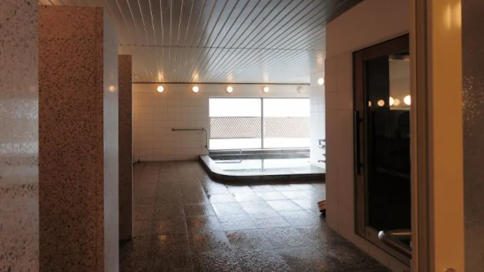 Takarazuka Washington Hotel