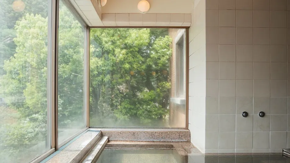 Takarazuka Washington Hotel