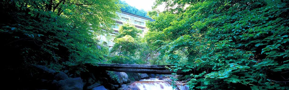 クチコミ 評判 横谷温泉旅館 Yahoo トラベル クチコミ 評判 横谷温泉旅館 Yahoo トラベル