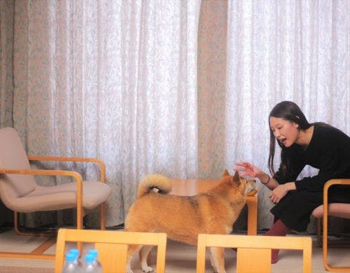 ワンちゃん同伴