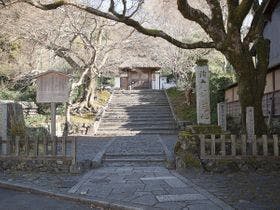 ゲストハウス葵　中本～ようこそ、山紫水明の都・京都へ～