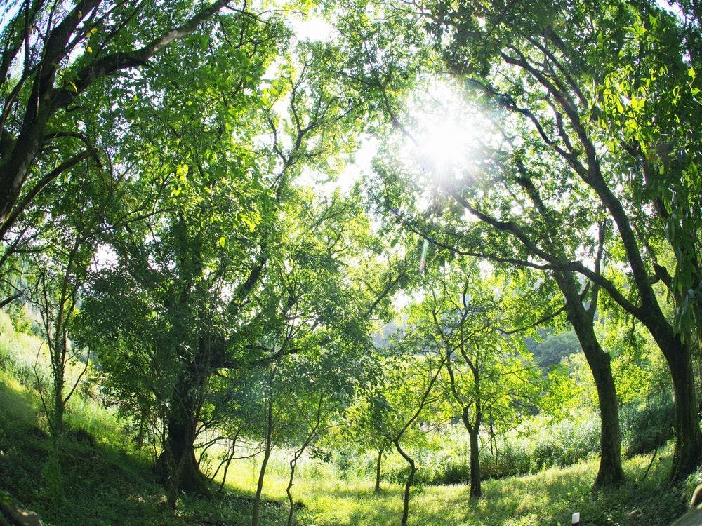 すみか の宿泊プラン 予約 Yahoo トラベル