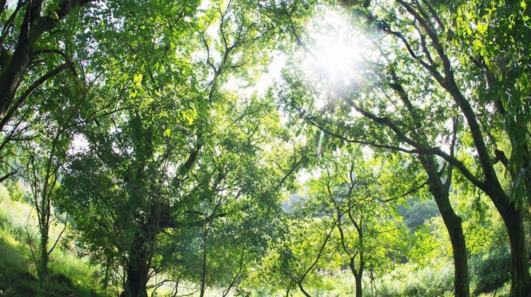 すみか の宿泊プラン 予約 Yahoo トラベル すみか の宿泊プラン 予約 Yahoo トラベル