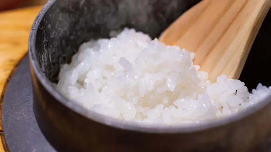 Iki stellacote TAIANKAKU