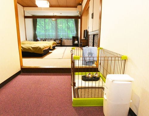 わんちゃんとごゆっくり♪ペット専用フロア