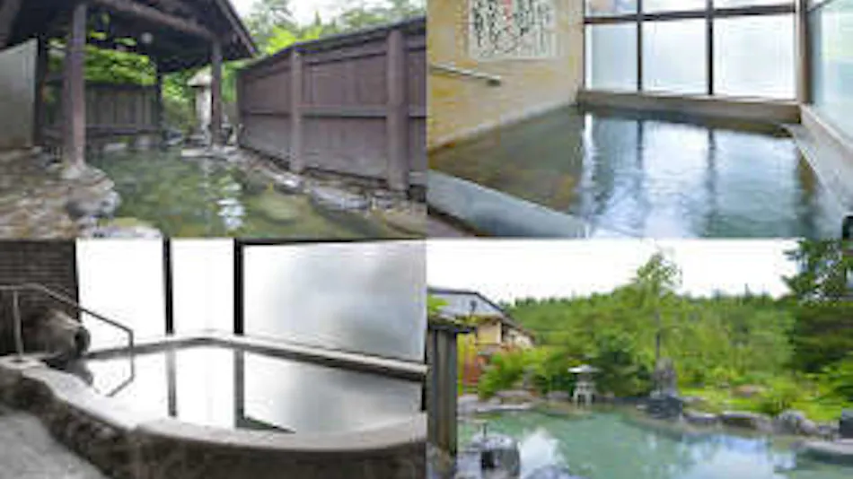 Takuhide Inn: Famous and Hidden Hot Spring Unagi-yu