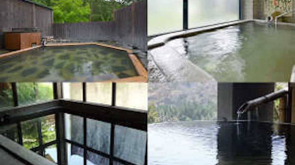 Takuhide Inn: Famous and Hidden Hot Spring Unagi-yu