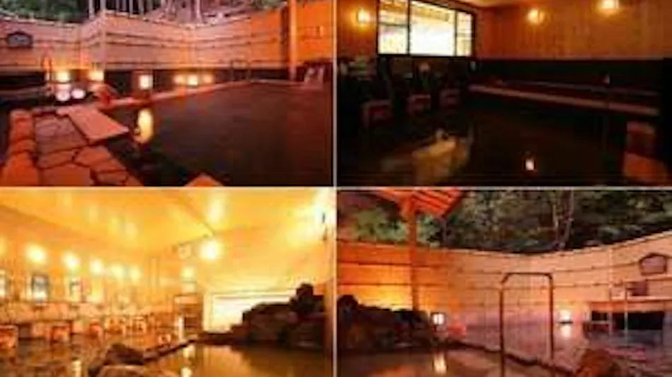 Ohara Onsen Yumoto no Oyado Minshuku Ohara Sanso