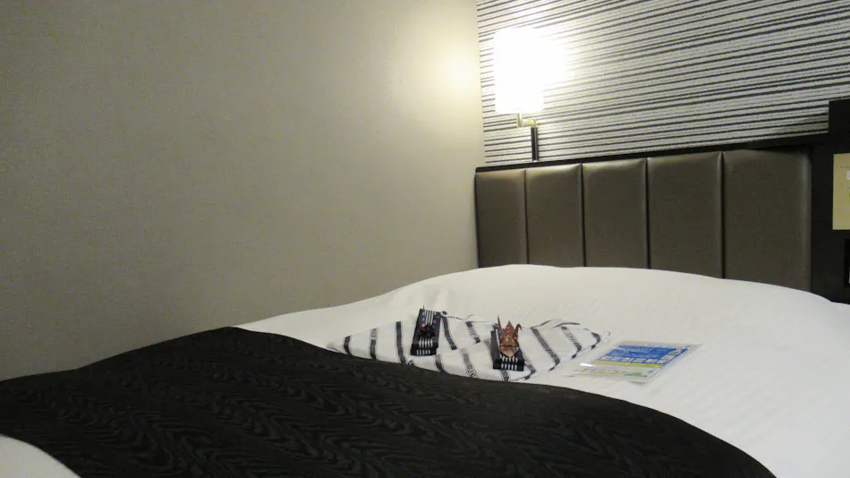 APA Hotel Miyazaki Miyakonojo Ekimae