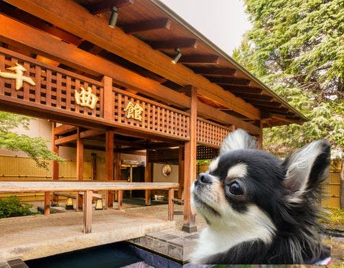 ドッグフレンドリールーム