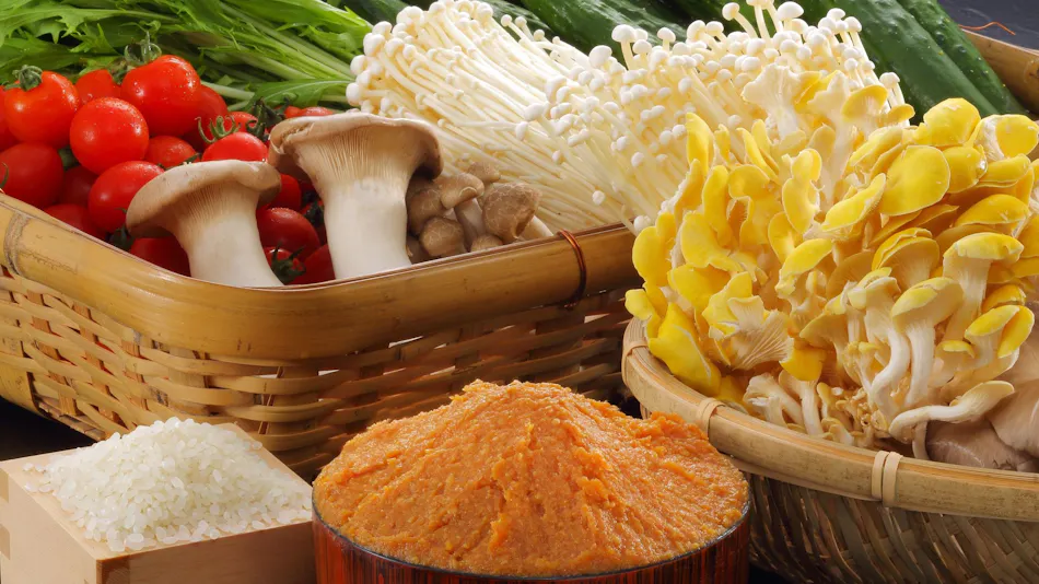 Tokura Kamiyamada Onsen Club Wyndham Chikuma-kan Nagano (formerly Tokura Kamiyamada Onsen Yuko Chikuma-kan)