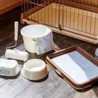 반려동물 동반 전용 애완동물 어메니티