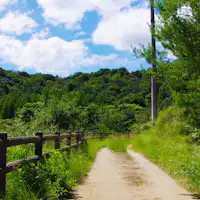 เส้นทางเดินเล่นรอบๆ