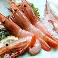 สดใหม่! ซาชิมิ.