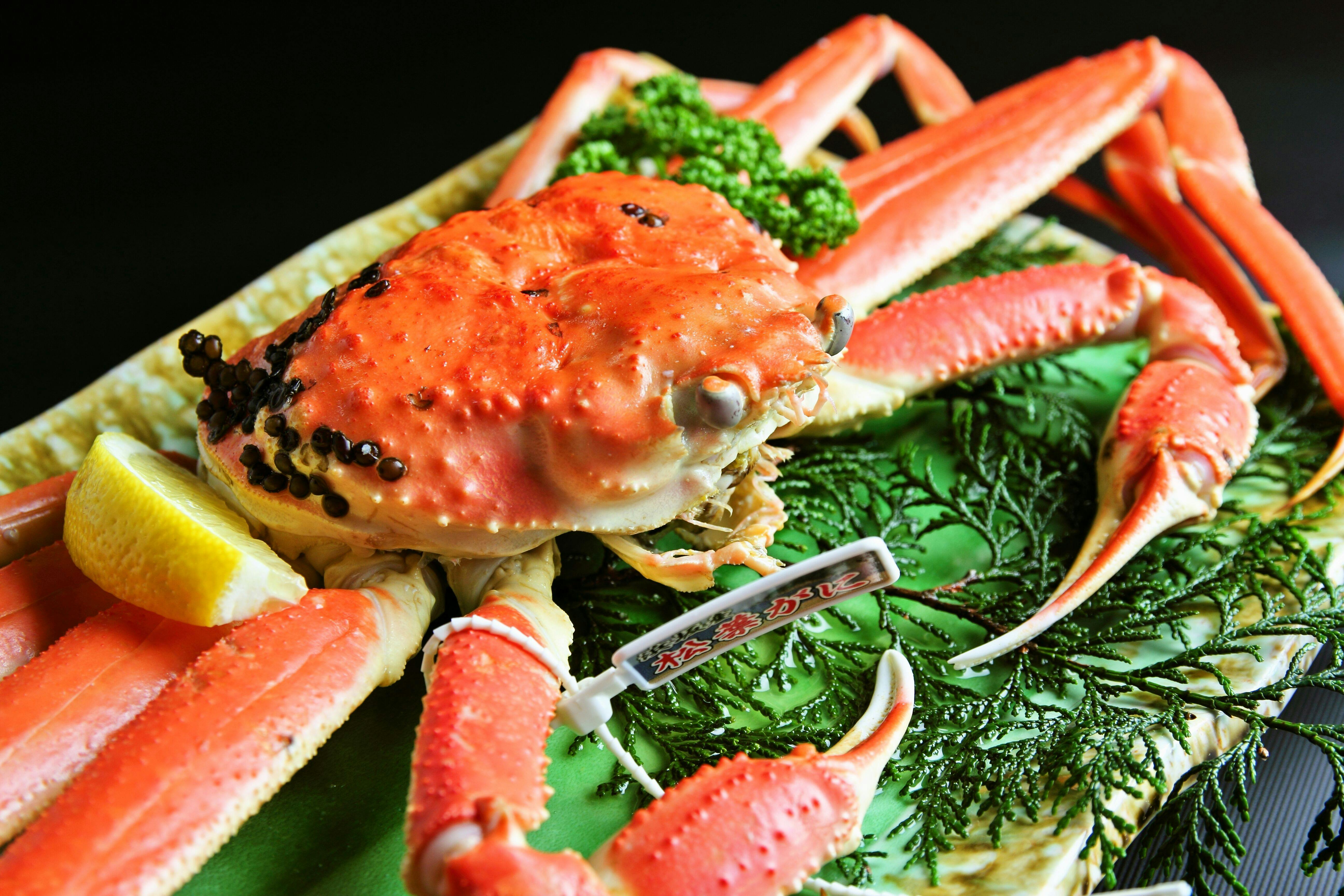 Ketam Matsuba Bertanda