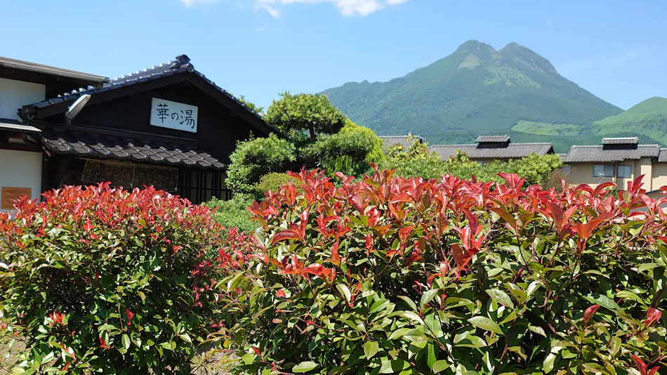 Yufuin Onsen Hasuwa Inn