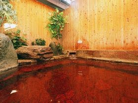 石和温泉　みなもと旅館