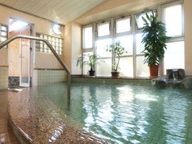 石和温泉　みなもと旅館