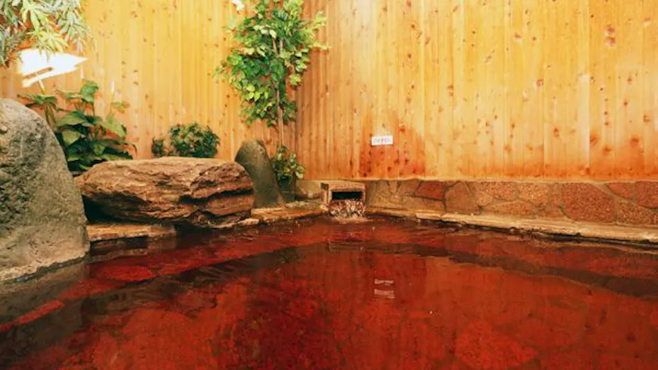 Isawa Onsenkyo Minamoto Ryokan
