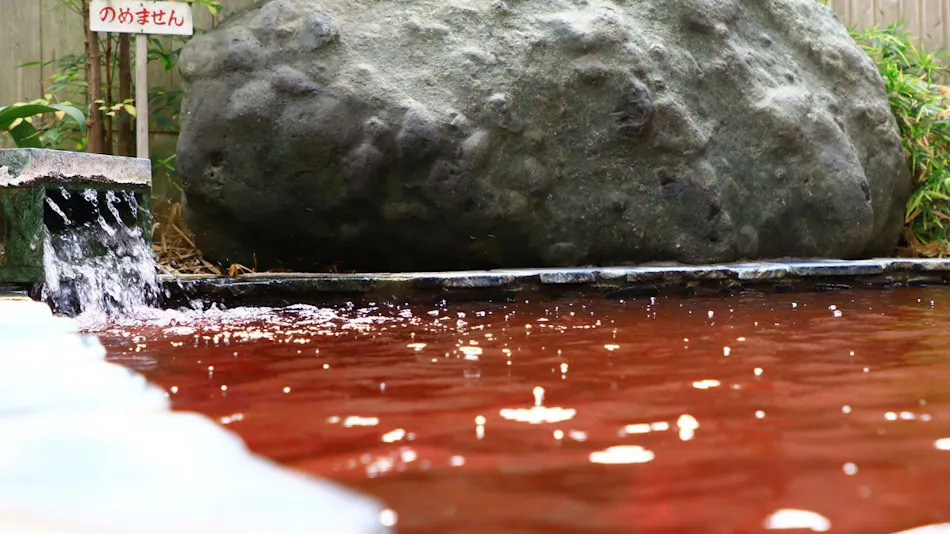 Isawa Onsenkyo Minamoto Ryokan