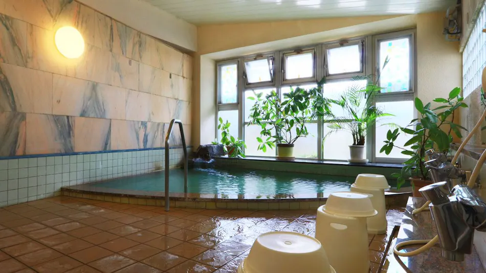 Isawa Onsenkyo Minamoto Ryokan