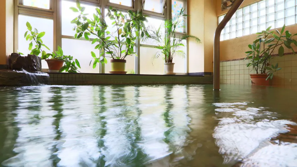 Isawa Onsenkyo Minamoto Ryokan