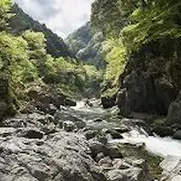 ต้นน้ำของหุบเขา Hato-no-Su