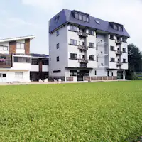 Musim bunga yang segar. Rasai angin musim bunga di Hakuba♪